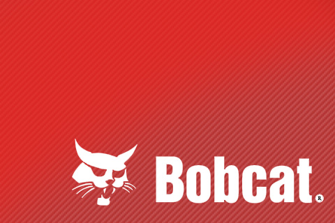 Гидроцилиндры Bobcat