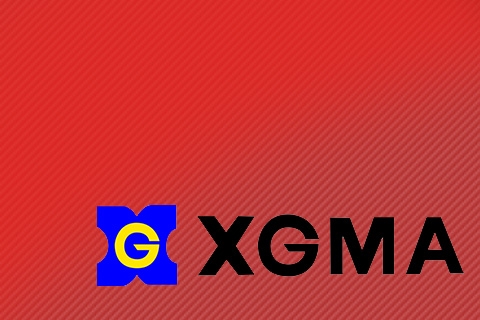 Опорно поворотное устройство XGMA