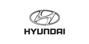 Гидроцилиндры Hyundai